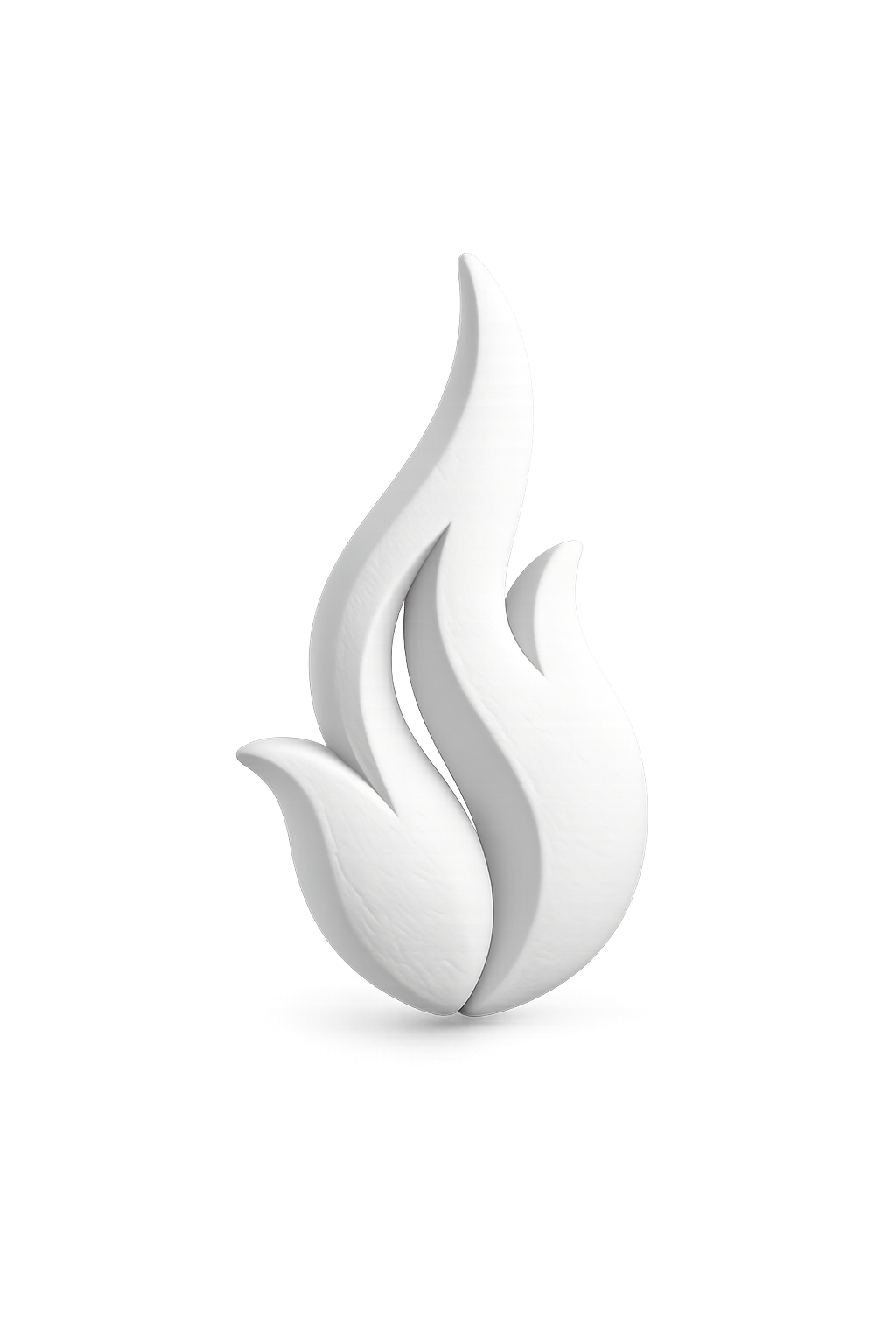 3D Sociedad Mexicana de Parrilleros